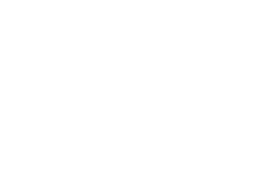 Ali Lalani